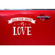 Wedding day car sticker - All you need is love